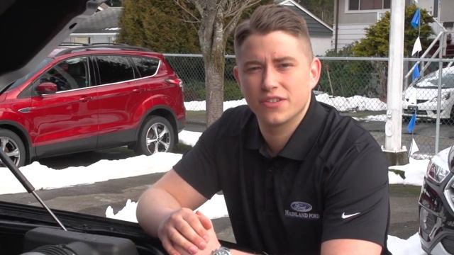 A Quick Look at the 2017 3.5 Litre Ecoboost FORD F150 смотреть онлайн
