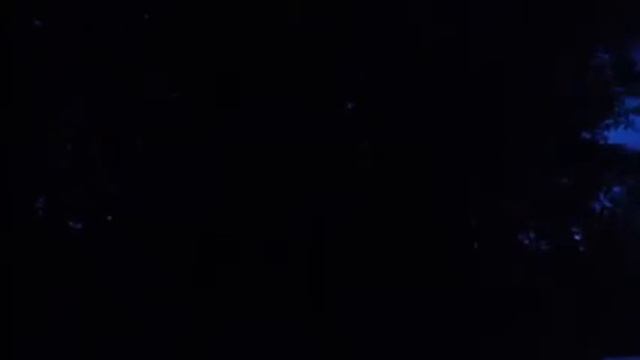 Майский концерт. Соловей и лягушки смотреть онлайн