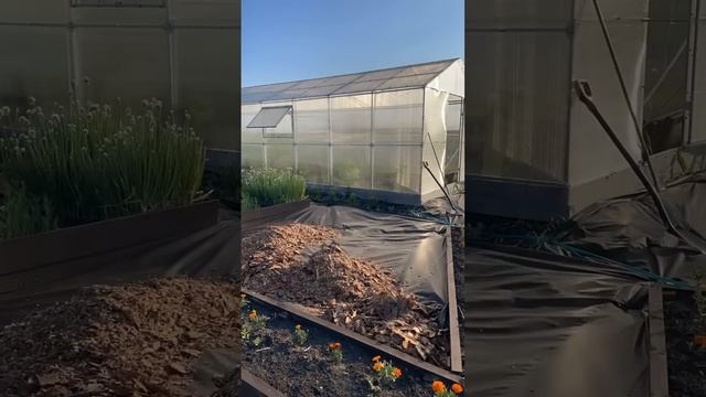 Сделала зону отдыха в огороде смотреть онлайн