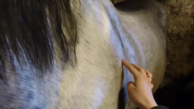 Средство против мух :) смотреть онлайн