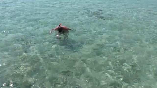 Египет. Шарм-эль-шейх. Royal Albatros Moderna.Понтон. Рыбки. Пляж #albatrosmoderna #понтон #море