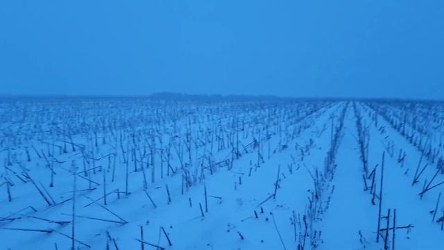 ПАХОТА И ПАЛКА ПОДСОЛНУХА смотреть онлайн