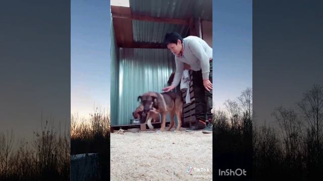 Глобальное переселение смотреть онлайн
