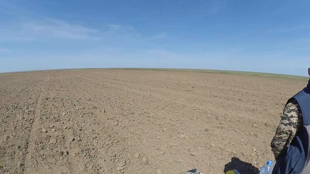 закладка почвенного разреза, почвенный профиль Западный Казахстан смотреть онлайн