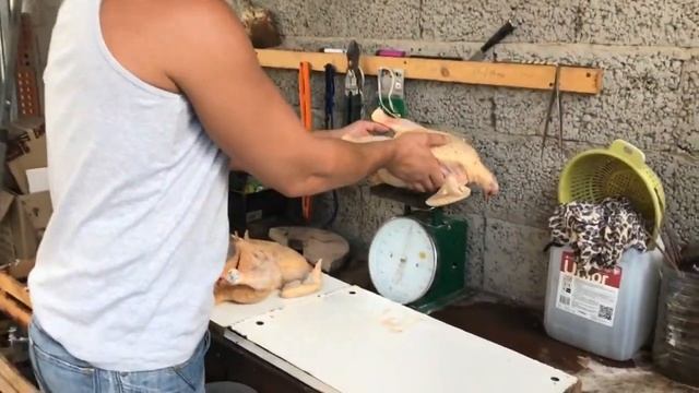 Бройлер КОББ-500. Вес тушки в 60 дней. На каком комбикорме растить бройлера? Старт или рост? смотреть онлайн