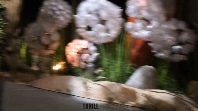 Gruffalo River Adventure - Chessington World Of Adventures 2022 смотреть онлайн