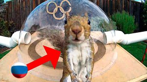 [Mark Rober] Беличья Олимпиада на Заднем Дворе 3.0 - Летние Игры [Марк Робер]