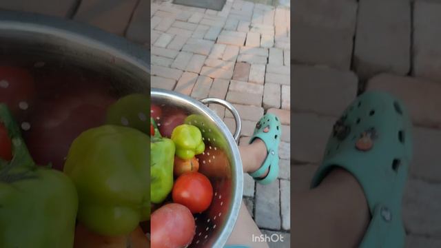 Мой скромный урожай