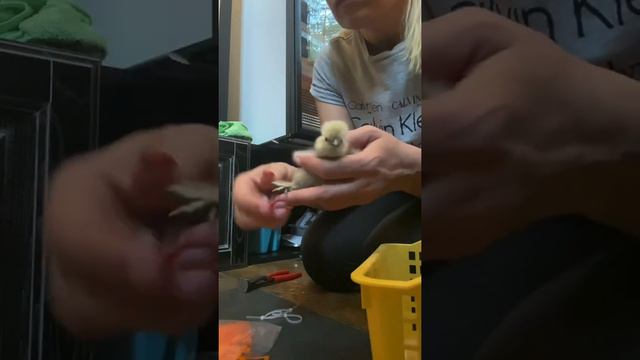 С первых дней смотреть онлайн