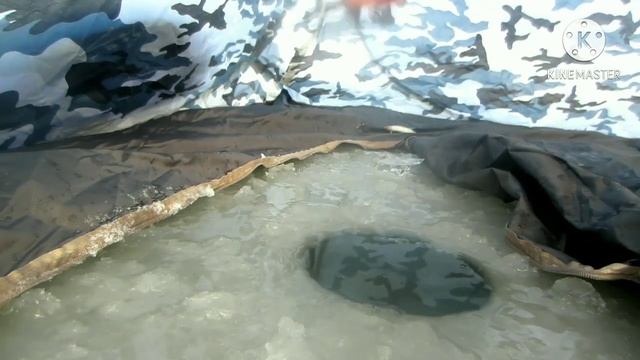 ПЕРВАЯ ЗИМНЯЯ РЫБАЛКА В 2021 Г. КЛЁВ КАК ВСЕГДА!!! смотреть онлайн