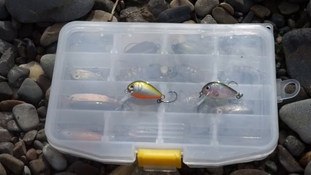 Голавль весной. Ловля пассивной рыбы. смотреть онлайн