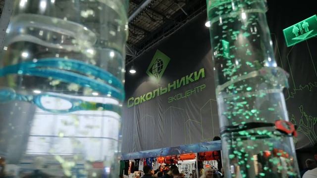 Globaldrive на выставке в Москве в Сокольниках смотреть онлайн