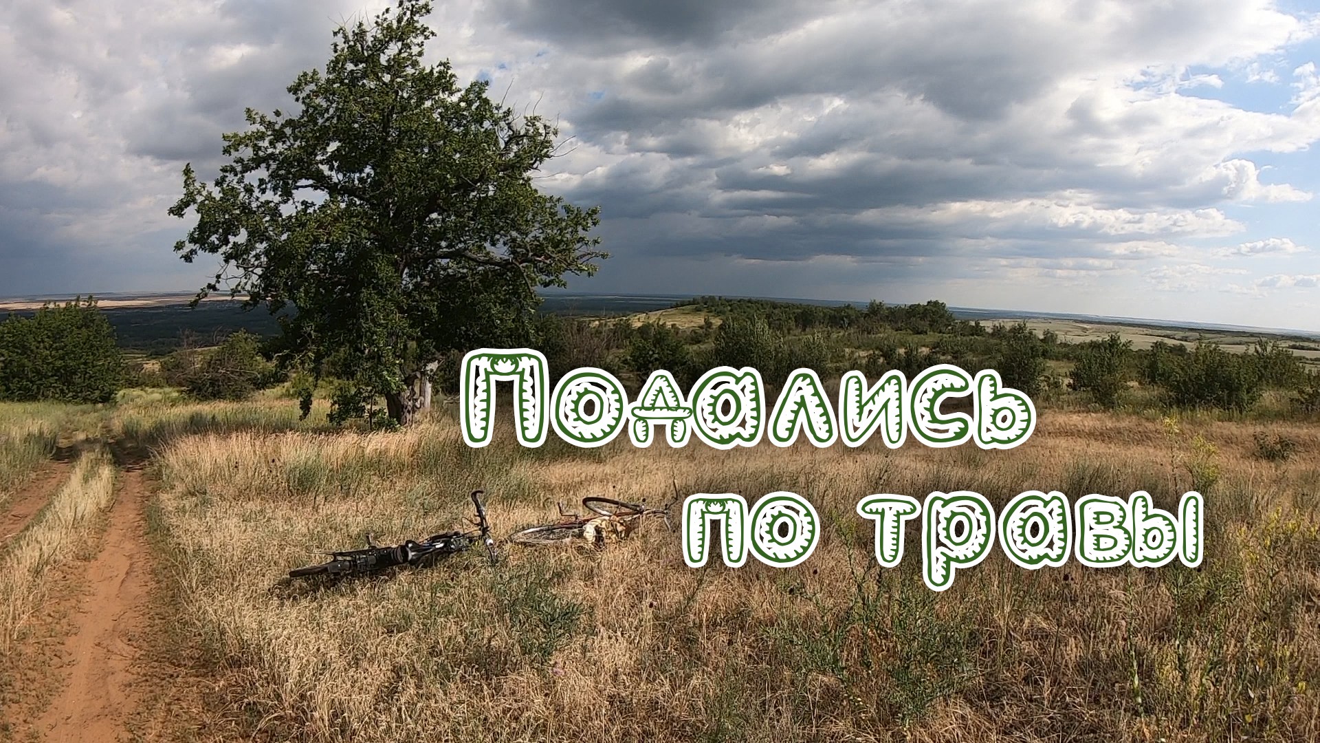 Подались по травы. смотреть онлайн