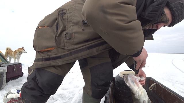 Зимняя рыбалка на Воже часть 2 смотреть онлайн
