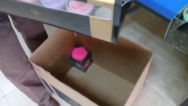 Вечная роза из Эквадора смотреть онлайн
