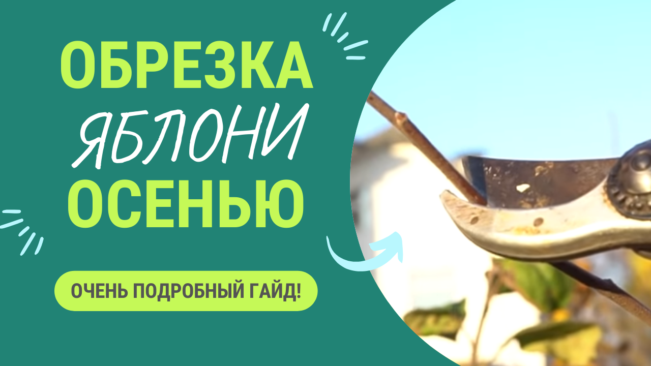 ОБРЕЗКА ЯБЛОНИ ОСЕНЬЮ - ОООЧЕНЬ ПОДРОБНОЕ ВИДЕО! смотреть онлайн