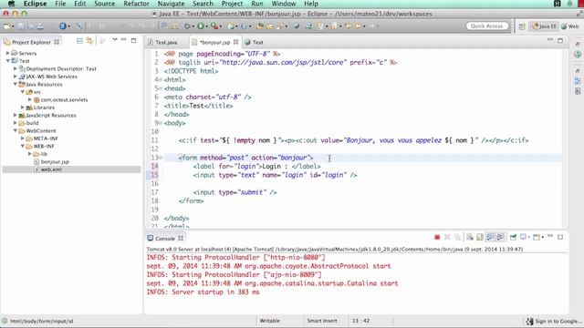 Développez des sites web avec Java EE: Les formulaires avec JAVA EE смотреть онлайн