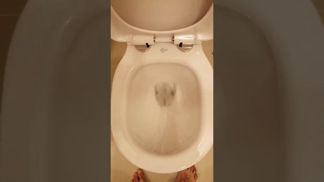 Напольный унитаз ideal standart смотреть онлайн