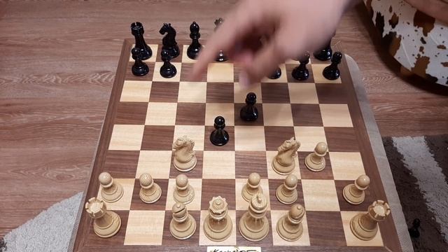 Шахматная ловушка для начинающих. Хитрый конь умеет играть в шахматы. смотреть онлайн