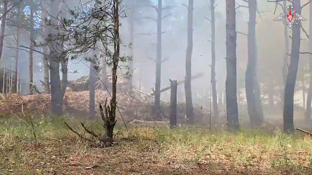 💥 Расчеты буксируемых пушек «Гиацинт-Б» уничтожают живую силу, технику и укрепления ВСУ на правом б смотреть онлайн