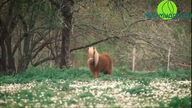 Как научиться управлять этим миром Сна и выйти за его пределы?!