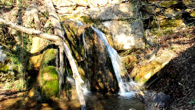 DSC_0031 смотреть онлайн