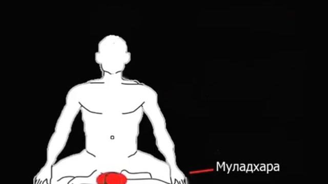 Муладхара чакра медитация 1 avi смотреть онлайн
