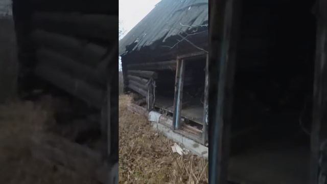 К озеру страха смотреть онлайн