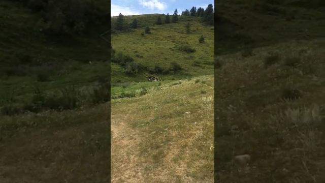 Родник. Усть-Кокса. Уймонская долина. ГорныйАлтай. смотреть онлайн