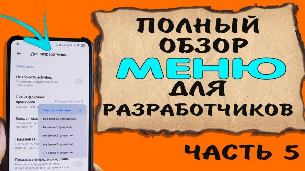 Полный обзор всех функций меню для разработчиков телефона андроид, часть 5 #ромашка