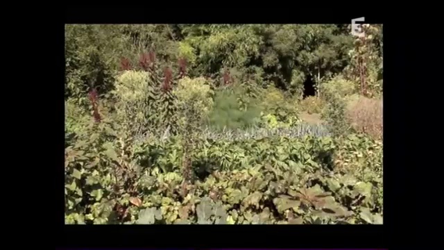 Guerre Et Paix Au Potager - Part.2
