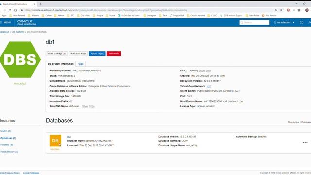 [TÜRKÇE] Oracle Cloud Infrastructure - Enterprise Edition Data Guard kurulumu смотреть онлайн