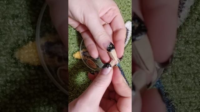 Как не ломать ногти?.. открывая фисташки смотреть онлайн