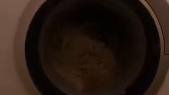 Стиральная машина BOSCH (полоскание). смотреть онлайн