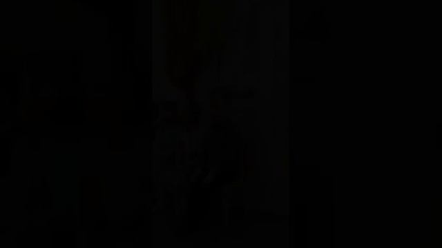Номер1 танцор номер2 пьяный танцор смотреть онлайн