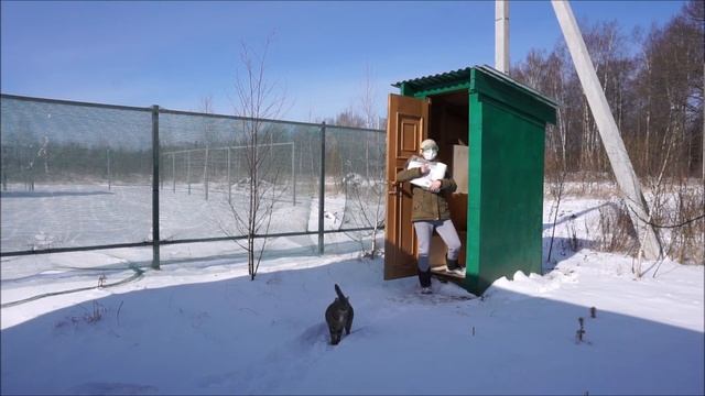 #Самоизоляция #Лучшедома посижу. Чем занимаетесь на самоизоляции? #Доманескучно ? смотреть онлайн