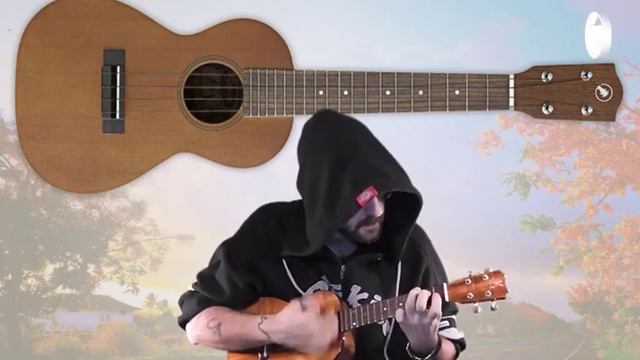 The Beatles - Let It Be (Si può fare sull'ukulele) смотреть онлайн