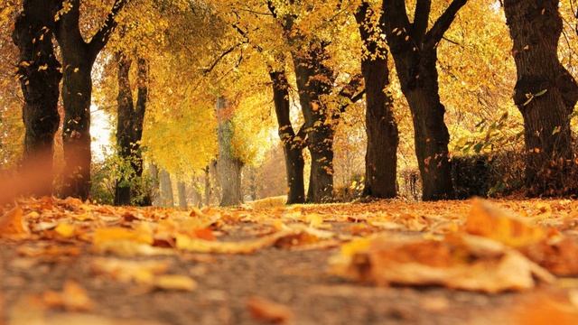 ОШО. ЖАЖДА БУДУЩЕГО СТРАДАНИЯ смотреть онлайн