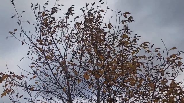 25 ноября народный праздник ИВАН МИЛОСТИВЫЙ . МОРЕНА.. ЧТО НЕЛЬЗЯ ДЕЛАТЬ..народные приметы и поверь смотреть онлайн