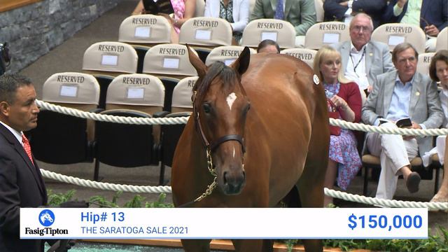 2024 G1 Pegasus World Cup S. winner NATIONAL TREASURE at The Saratoga Sale смотреть онлайн