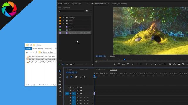 Import_.MKV_or_.WEBM_files_into_Adobe_Premiere_Pro_or_After_Effects_fastest_way смотреть онлайн