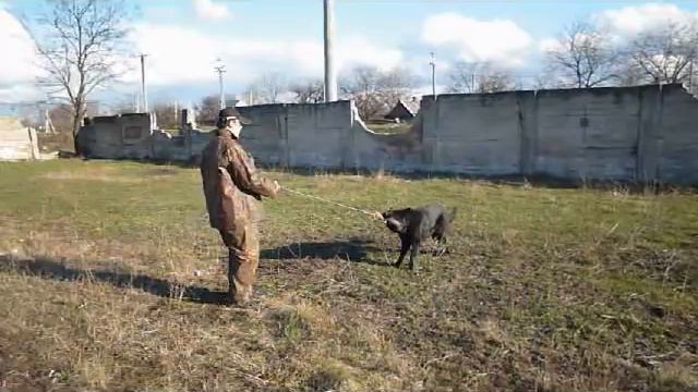 Видео урок защита смотреть онлайн