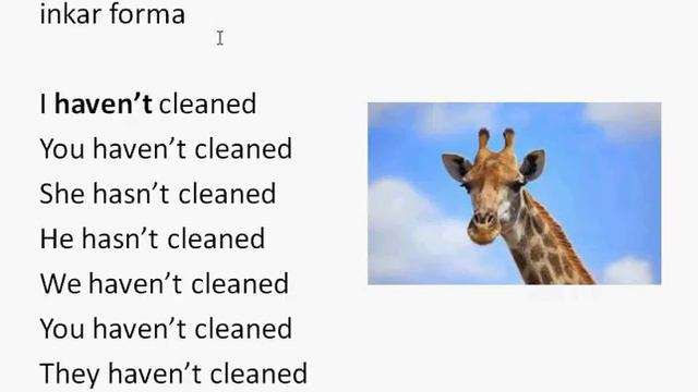 present perfect1 смотреть онлайн