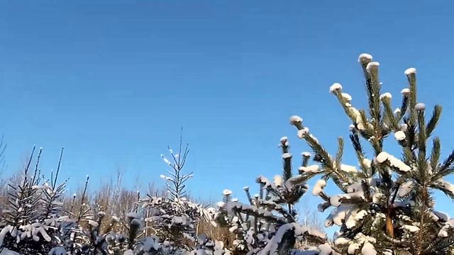 Тренировка 6.12.2020 Чуприяновка смотреть онлайн