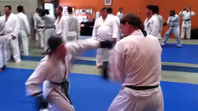 Renzo Kumite Silva-Grisanti 2.MOV смотреть онлайн