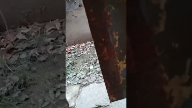Подключение 3-х двигателя на 220В без мешка конденсаторов. смотреть онлайн