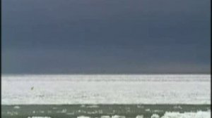 Арктические пустыни