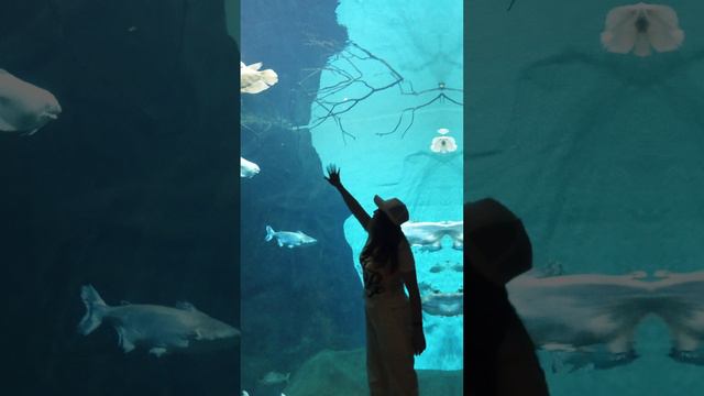 Путешествия с Мариной смотреть онлайн