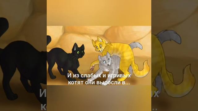 История Белки смотреть онлайн