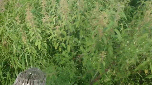 Моя генеральская дача смотреть онлайн